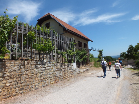 DSCF9987.JPG