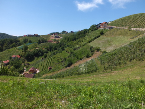 DSCF9988.JPG