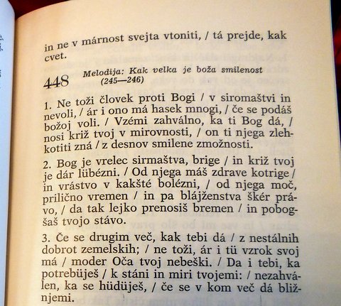 DSCF2617.JPG