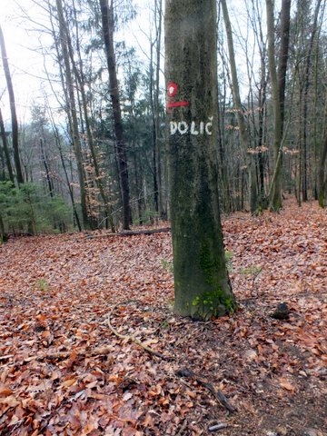 DSCF2678.JPG