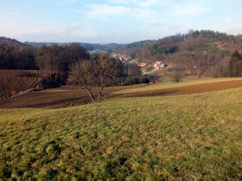 DSCF2700.JPG