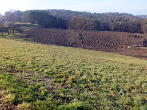 DSCF2702.JPG