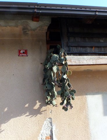 DSCF2705.JPG