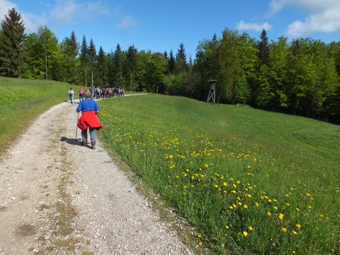 DSCF3664.JPG