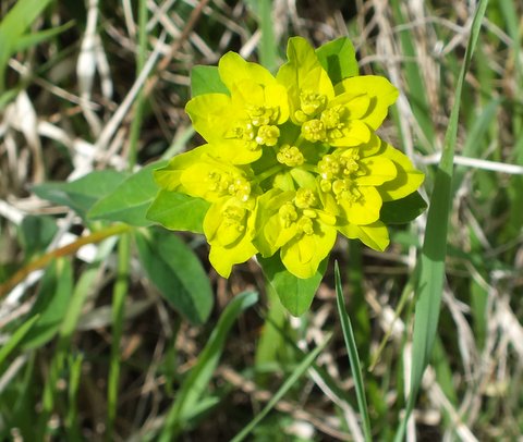 DSCF3766.JPG