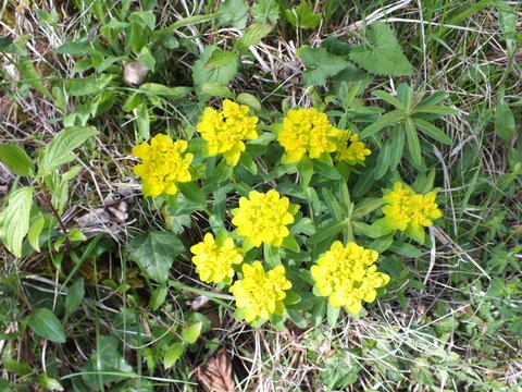 DSCF3771.JPG