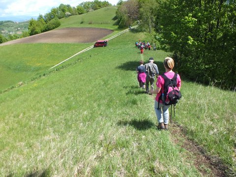 DSCF3775.JPG