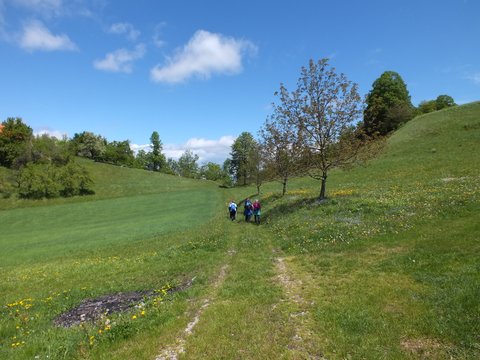 DSCF3782.JPG