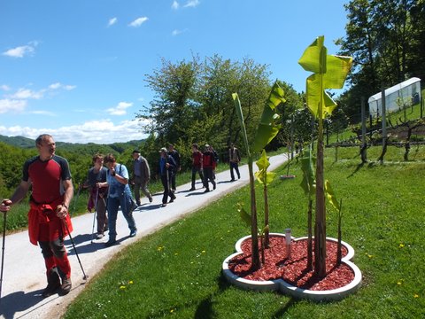 DSCF3786.JPG