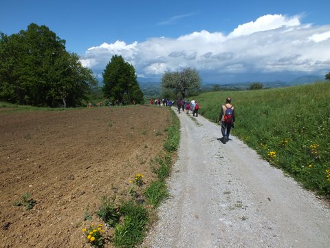 DSCF3791.JPG