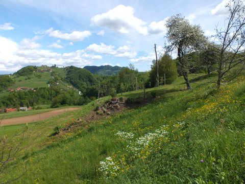 DSCF3798.JPG