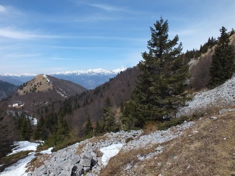 DSCF2806.JPG