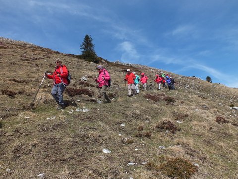 DSCF2855.JPG