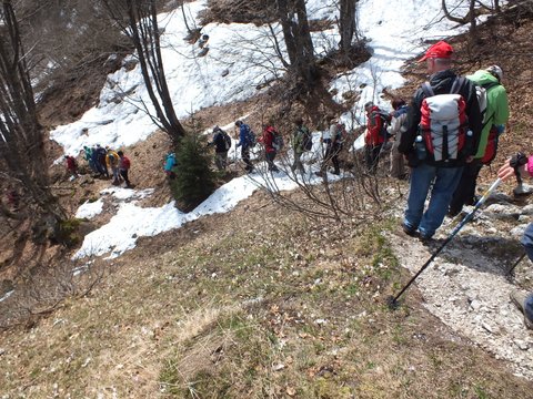 DSCF2860.JPG