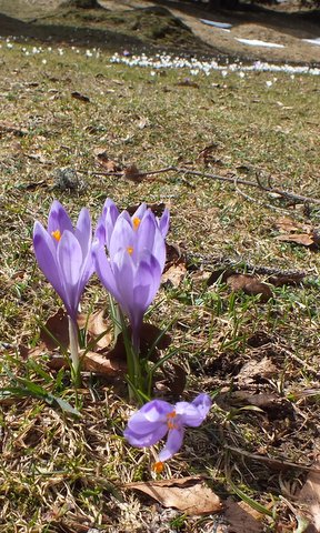 DSCF2873.JPG