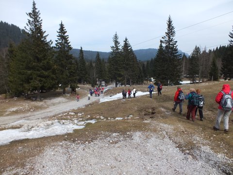 DSCF2949.jpg