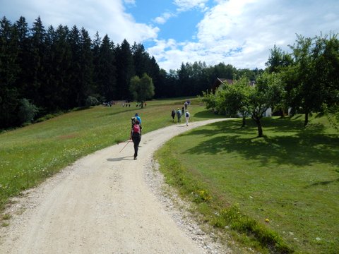 DSCN7217.JPG