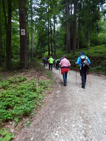 DSCN7229.JPG