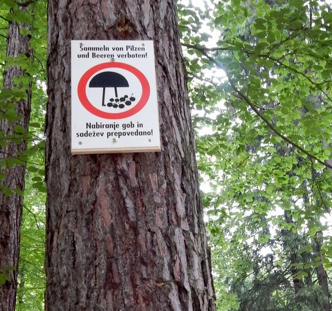 DSCN7230.JPG