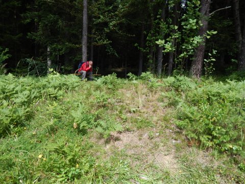 DSCN7424.JPG