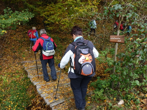 DSC03849.JPG