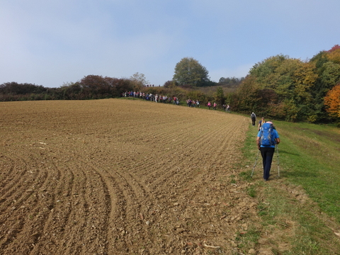 DSC03865.JPG