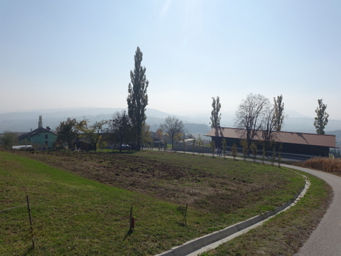 DSC03974.JPG