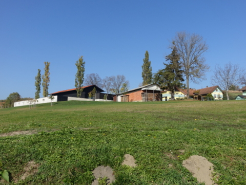 DSC03976.JPG