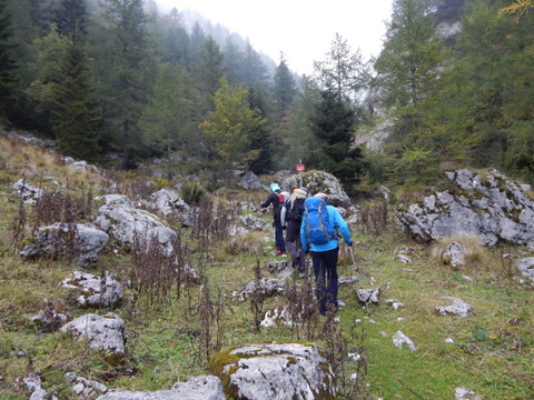 DSCN5222.JPG