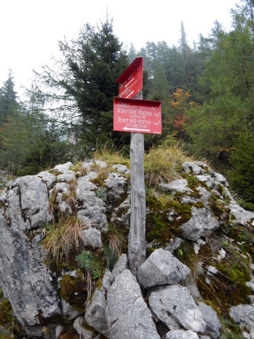 DSCN5225.JPG