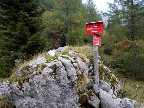 DSCN5226.JPG
