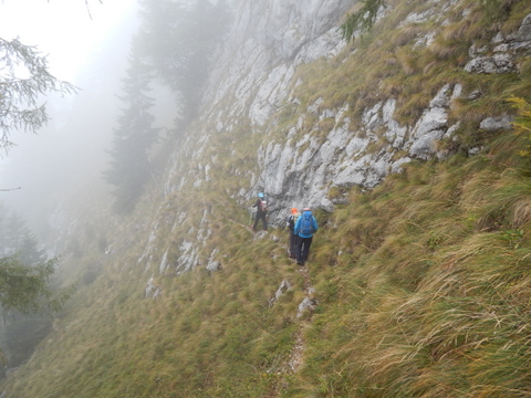 DSCN5229.JPG