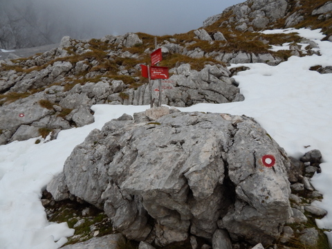 DSCN5333.JPG