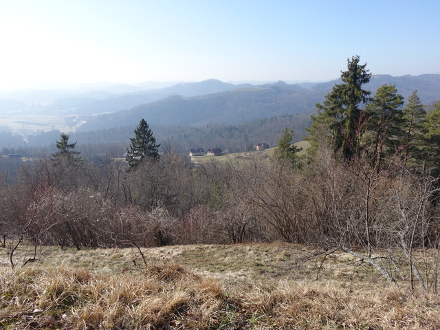 DSC03985.JPG