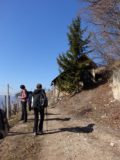 DSC03987.JPG