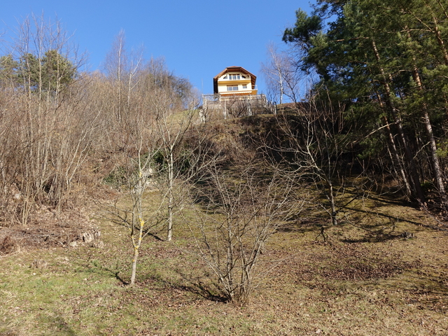 DSC04060.JPG