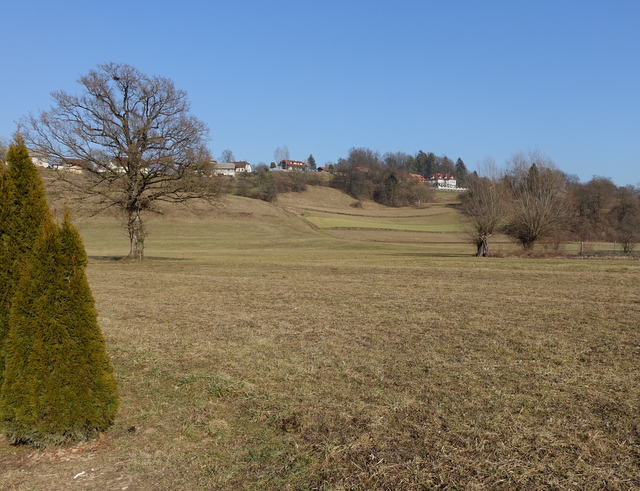DSC04075.JPG