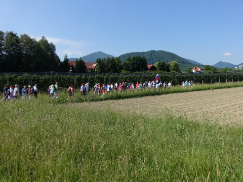 DSC07883.JPG