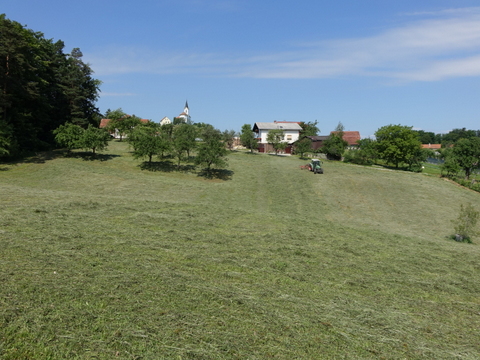DSC07893.JPG