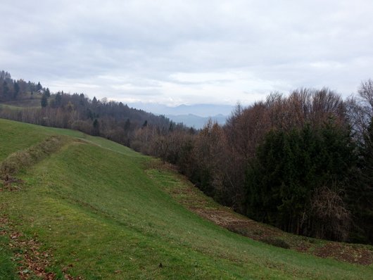 DSC02449.JPG