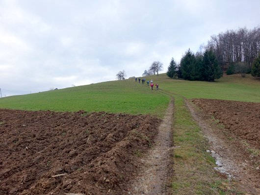 DSC02455.JPG