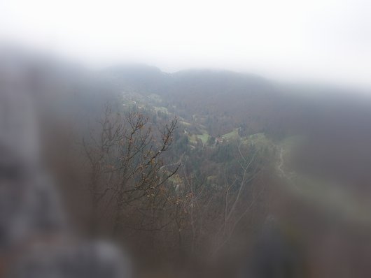 DSC02752.JPG