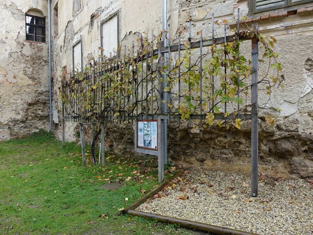 DSC06697.JPG