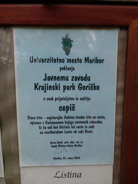 DSC06701.JPG
