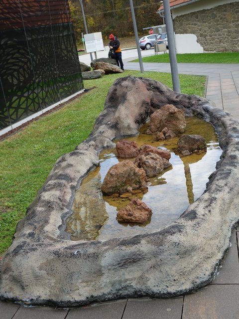 DSC06720.JPG