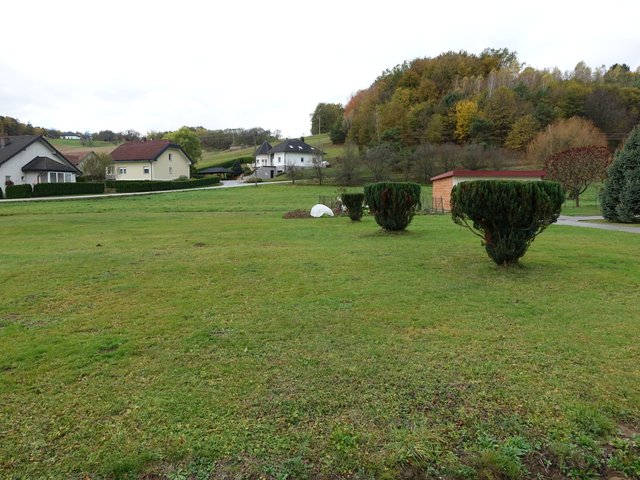 DSC06742.JPG