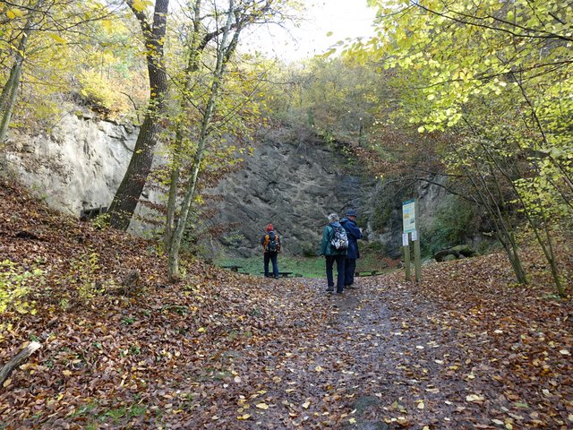 DSC06749.JPG