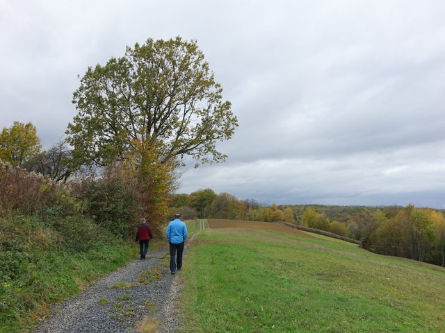 DSC06772.JPG