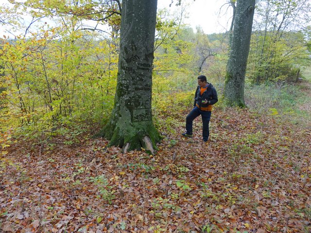 DSC06774.JPG