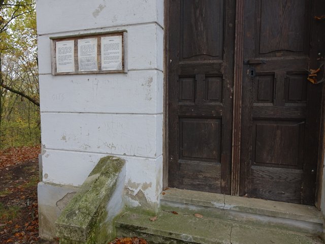 DSC06778.JPG